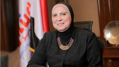 نيفين جامع وزيرة الصناعة المصرية