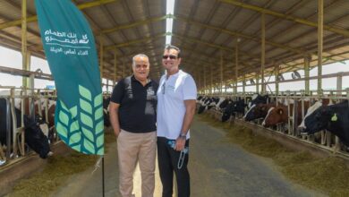 The Egyptian Food Bank Unveils Al Adha Sacrifice Program at Wafra Farm in Beheira