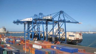 وزير النقل يوجّه بضرورة الالتزام بالجدول الزمني لتنفيذ ميناء دمياط