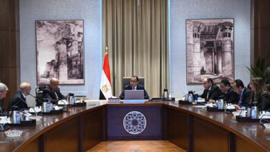 رئيس الوزراء يبحث مع مسئولي شركة "المنصور للسيارات" فرص تصنيع طرازات ومنتجات جديدة في مصر