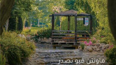 «ماونتن ڤيو» تواصل تطبيق ممارسات الاستدامة والحوكمة دعمًا لرؤية مصر 2030