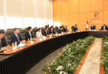 تحالف دولي يبدأ تطوير المنطقة بين مطار سفنكس وهرم سقارة