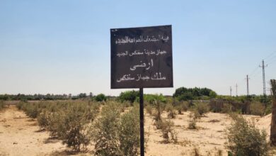 إزالة تعديات واسترداد 153 فدانًا بمدينة سفنكس الجديدة ضمن حملة مكبرة بالتعاون مع شرطة التعمير