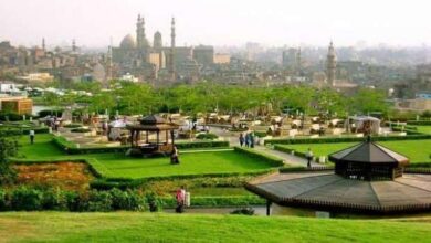 "الفسطاط الجديدة".. أين وصل مشروع الحديقة الأكبر في القاهرة؟