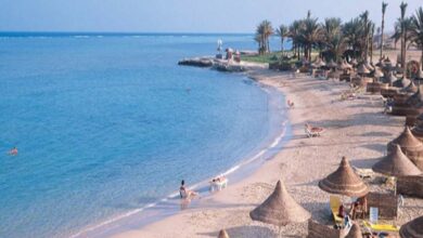 «مرسى مرسى علم» تتحول للخسارة بـ3.6 مليون جنيه في النصف الأول من 2025