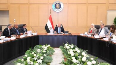 قريبًا.. مصر تبدأ تصنيع صاج السيارات محليًا لدعم تجميع المركبات وتقليل التكاليف