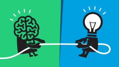 الجمود السياسي والصحي في فرنسا يمنع تبني البدائل الفعالة والحلول المبتكرة ويفاقم أزمة التدخين