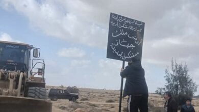 «سفنكس الجديدة» تسترد 188 فدانًا من واضعي اليد في حملة أمنية مكبرة