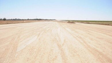 اليوم.. «مطاحن جنوب القاهرة» تطرح أول 1400 متر للبيع في مزاد علني