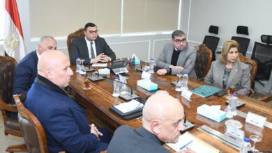 وزير الإسكان يبحث مع السويدي موقف مشروعات الكهرباء بالمدن الجديدة