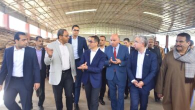 مهلة 3 أسابيع لحل معوقات «منطقة قفط».. 4 قرارات عاجلة لوزير الاستثمار لدعم «بوابة التصدير» بالصعيد