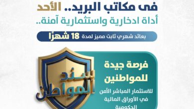 وزير المالية: طرح «سند المواطن» للأفراد عبر مكاتب البريد.. الأحد المقبل