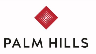 «بالم هيلز للتعمير» تحقق مبيعات عقارية بقيمة 215 مليار جنيه وأرباح 6.2 مليار خلال 2025