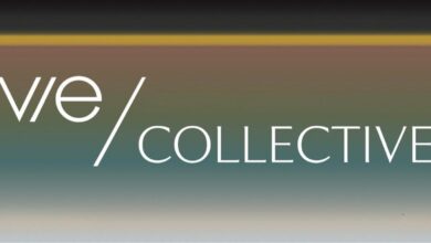 تحالف مصري إماراتي يطلق «VIE COLLECTIVE» باستثمارات 200 مليار جنيه بالقاهرة الجديدة