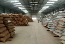 «الزراعي المصري» يُنهي استعداداته لاستقبال موسم توريد القمح 2026