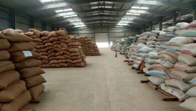 «الزراعي المصري» يُنهي استعداداته لاستقبال موسم توريد القمح 2026