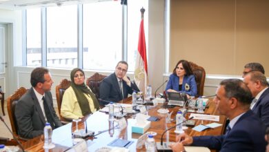 وزيرة الإسكان تلتقي مسئولي شركة مصر إيطاليا للتطوير العقاري لبحث التعاون بشأن عدد من الفرص الاستثمارية بالمدن الجديدة