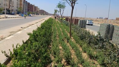 4000 متر مربع لمستشفى استثماري جديد.. وزيرة الإسكان تتابع مشروعات العاشر من رمضان