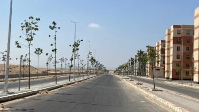 الإسكان تبدأ تسليم 842 قطعة أرض بمنطقتي القادسية وجمعية الطلائع بالعبور الجديدة